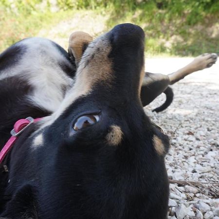 Tenuta Gran Bosco Loro Piceno Dış mekan fotoğraf