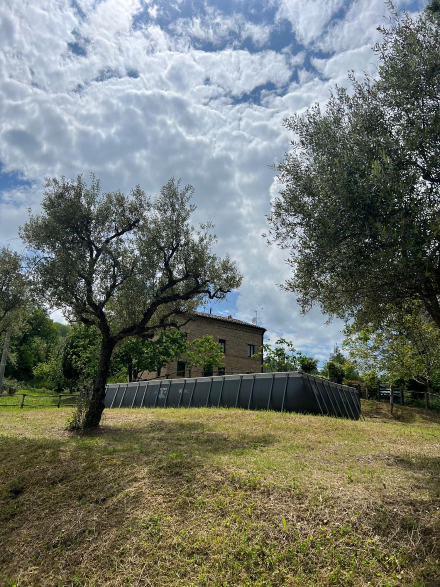 Tenuta Gran Bosco Loro Piceno Dış mekan fotoğraf