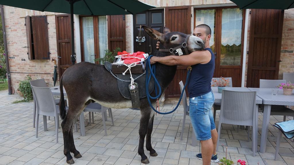 Tenuta Gran Bosco Loro Piceno Dış mekan fotoğraf