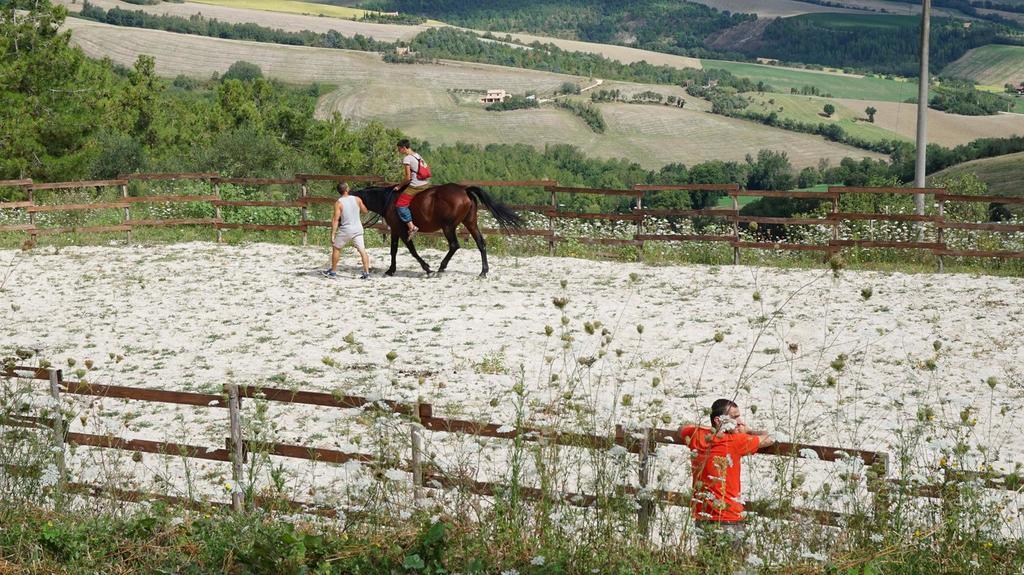 Tenuta Gran Bosco Loro Piceno Dış mekan fotoğraf