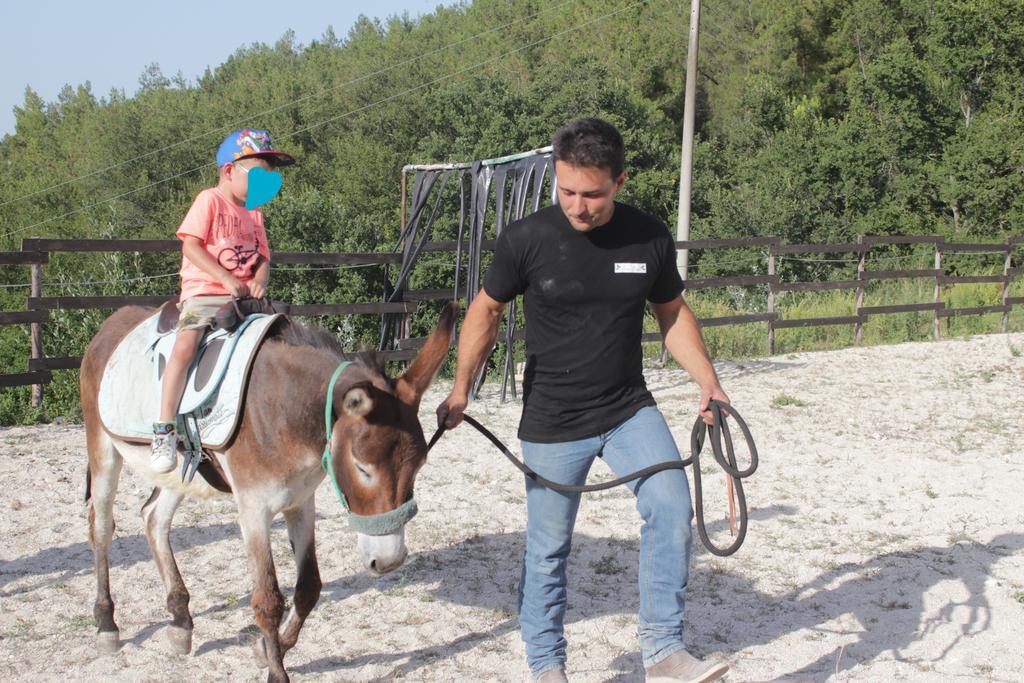 Tenuta Gran Bosco Loro Piceno Dış mekan fotoğraf