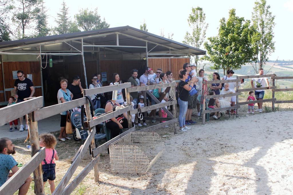 Tenuta Gran Bosco Loro Piceno Dış mekan fotoğraf