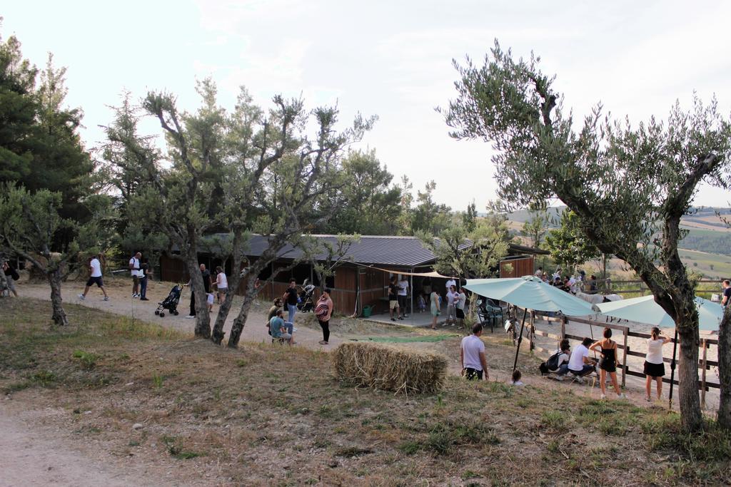 Tenuta Gran Bosco Loro Piceno Dış mekan fotoğraf