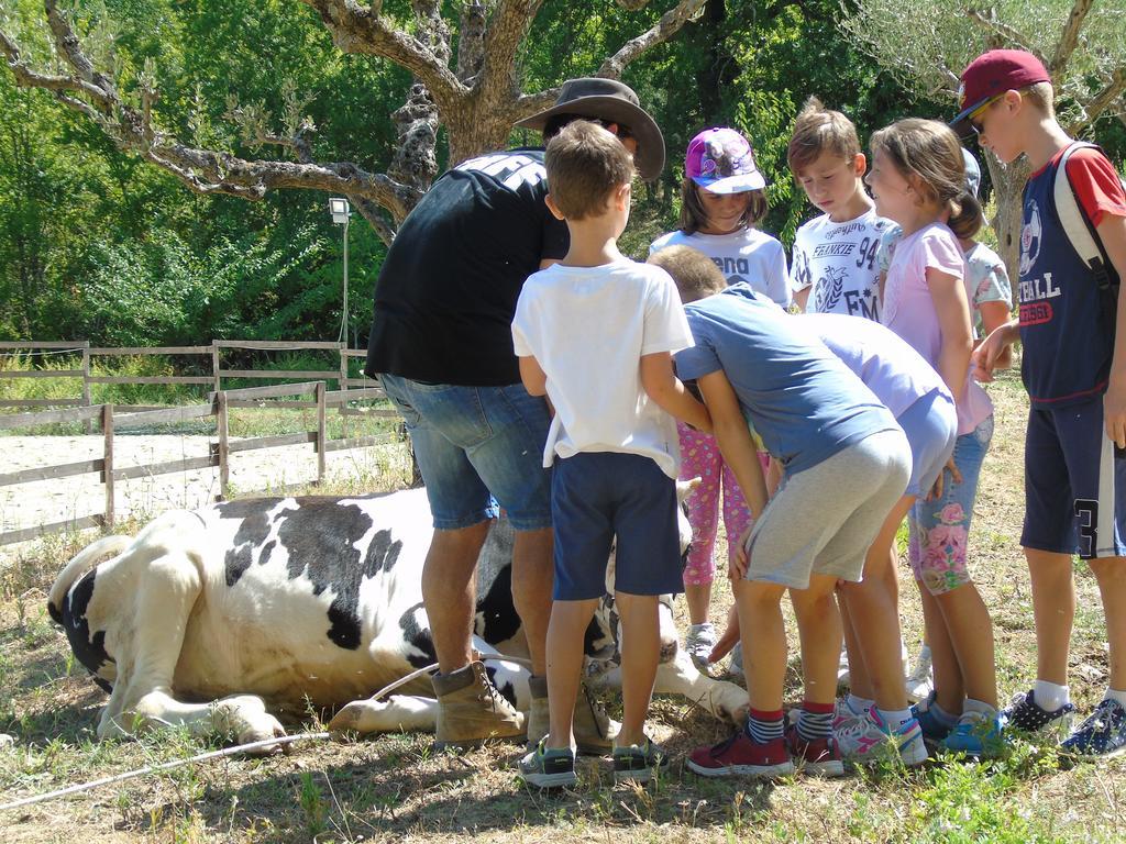 Tenuta Gran Bosco Loro Piceno Dış mekan fotoğraf