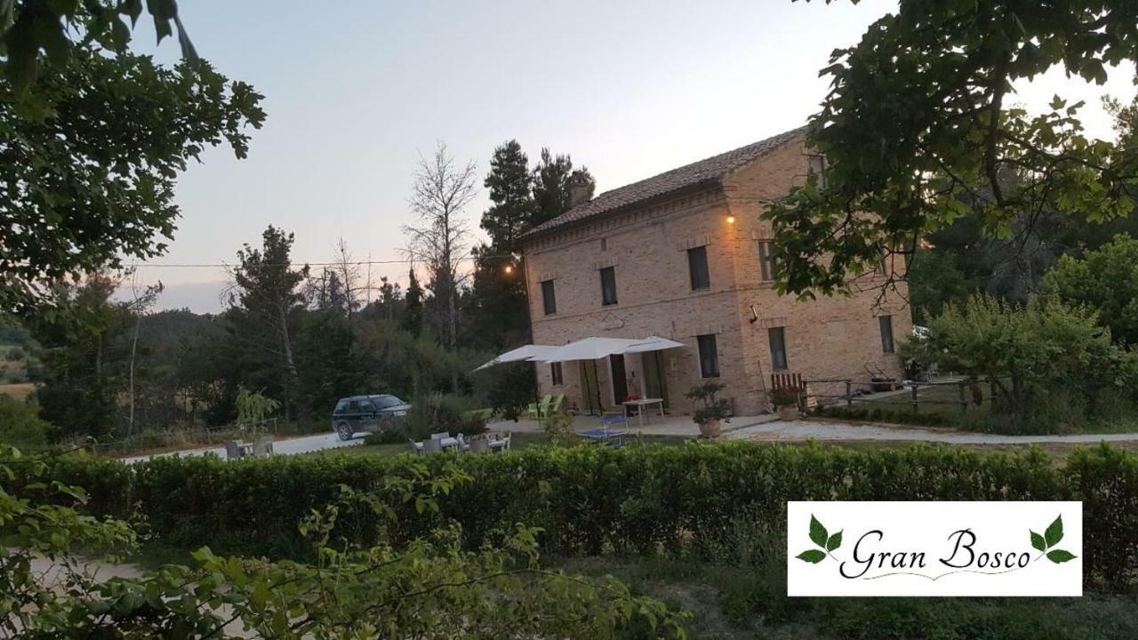 Tenuta Gran Bosco Loro Piceno Dış mekan fotoğraf