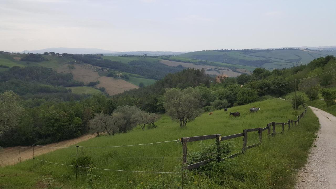 Tenuta Gran Bosco Loro Piceno Dış mekan fotoğraf