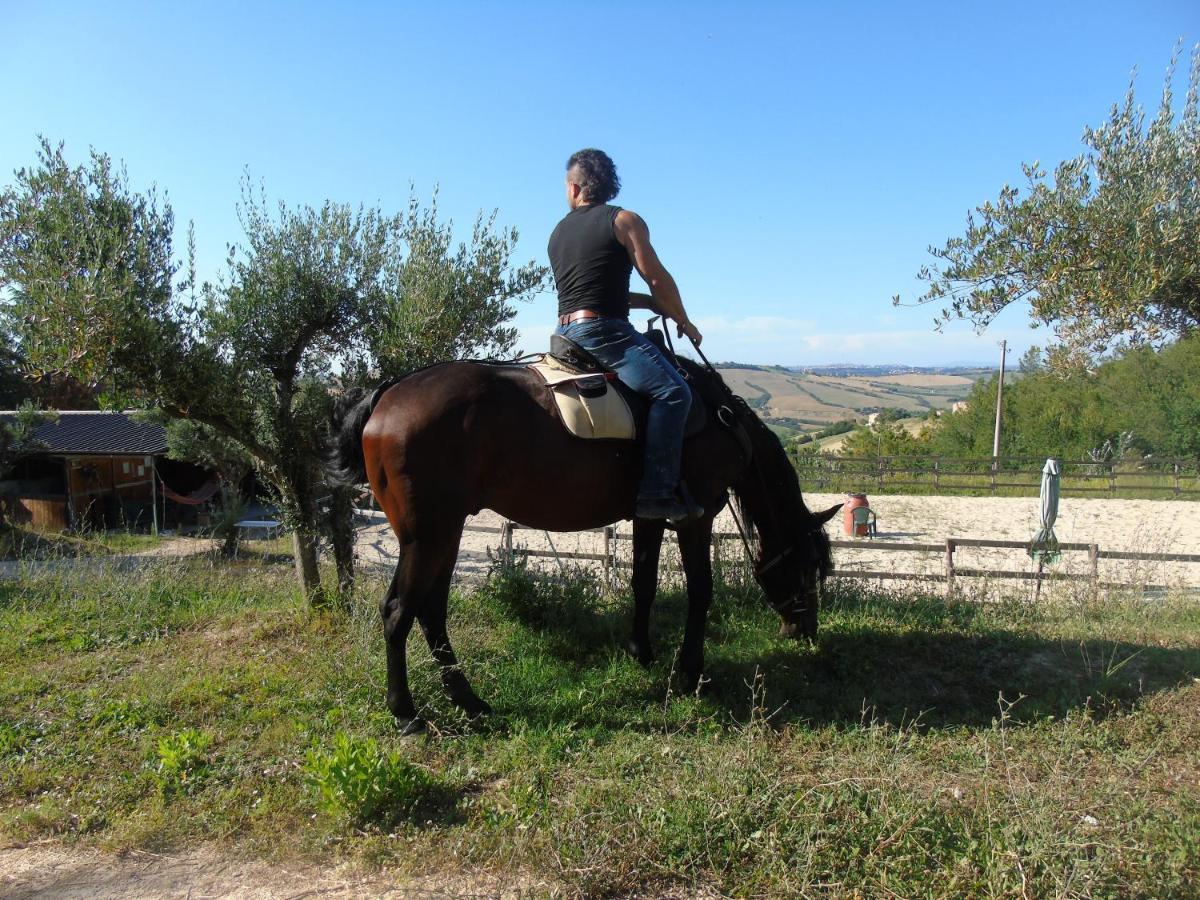 Tenuta Gran Bosco Loro Piceno Dış mekan fotoğraf